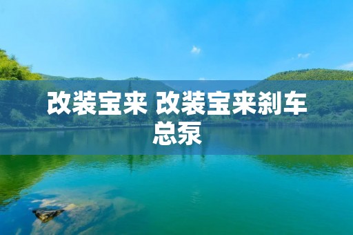改装宝来 改装宝来刹车总泵