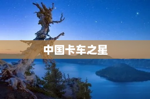 中国卡车之星：重卡行业的领军品牌