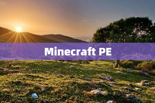 Minecraft PE:打造你的无限创意世界 Minecraft PE:打造你的无限创意世界