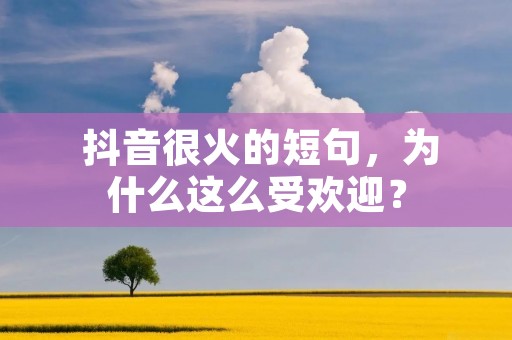 抖音很火的短句,为什么这么受欢迎?