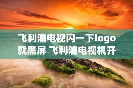 飞利浦电视闪一下logo就黑屏 飞利浦电视机开机一闪后黑屏 飞利浦电视闪一下logo就黑屏 飞利浦电视机开机一闪后黑屏