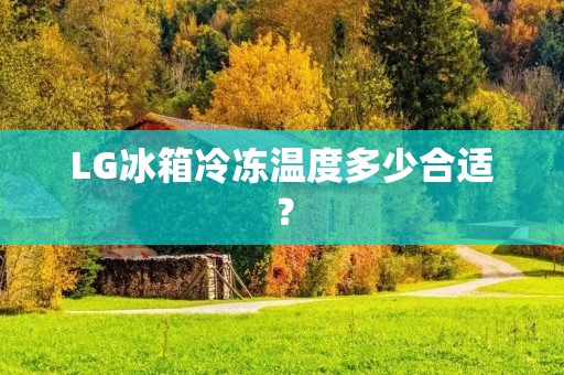 LG冰箱冷冻温度多少合适？