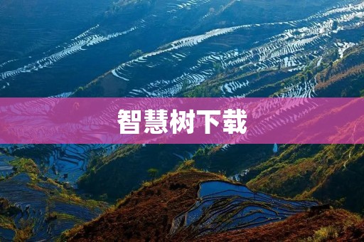 智慧树下载:全面提升学习效率 智慧树下载:全面提升学习效率