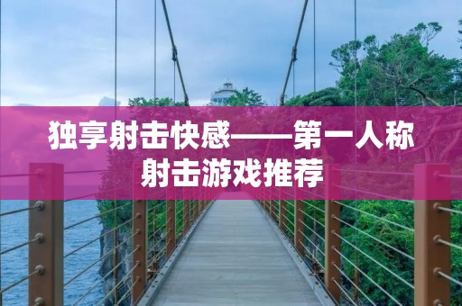 独享射击快感——第一人称射击游戏推荐