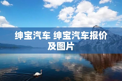 绅宝汽车 绅宝汽车报价及图片