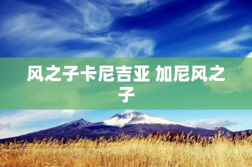 风之子卡尼吉亚 加尼风之子 风之子卡尼吉亚 加尼风之子