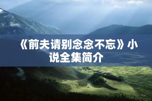 《前夫请别念念不忘》小说全集简介