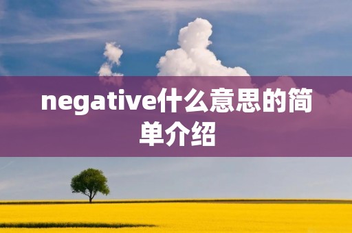 negative什么意思的简单介绍