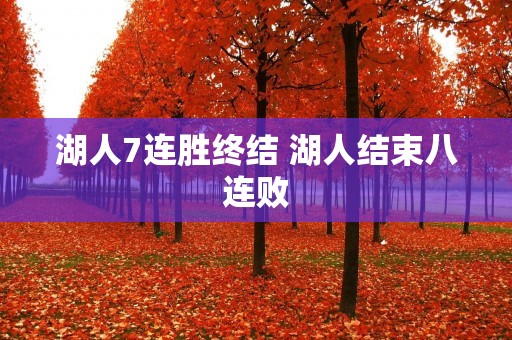 湖人7连胜终结 湖人结束八连败