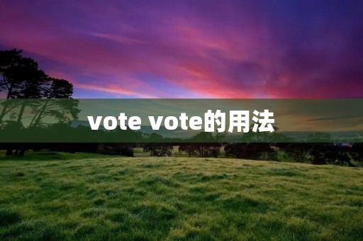 vote vote的用法