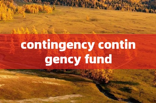 contingency contingency fund