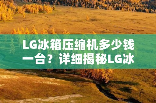 LG冰箱压缩机多少钱一台？详细揭秘LG冰箱压缩机价格与性能