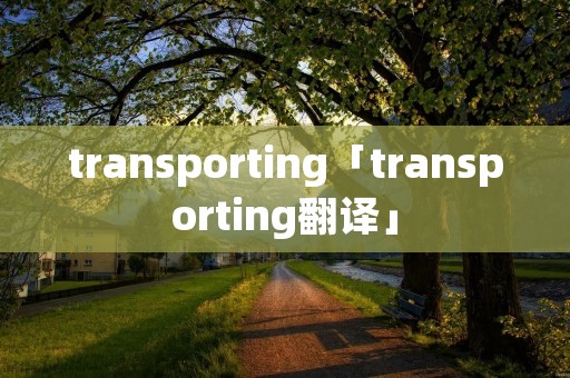 transporting「transporting翻译」