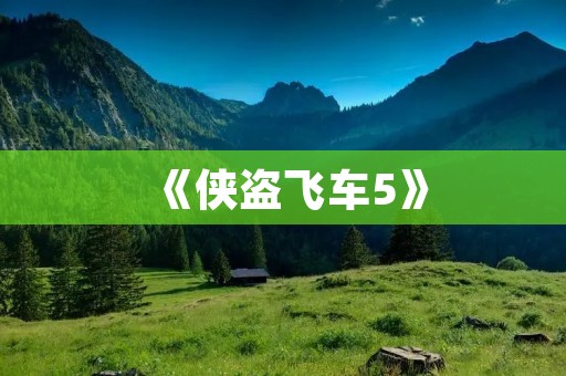 《侠盗飞车5》:狂飙在自由城