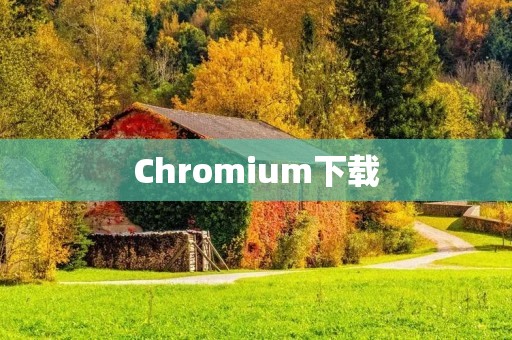Chromium下载：快速获取高效浏览器