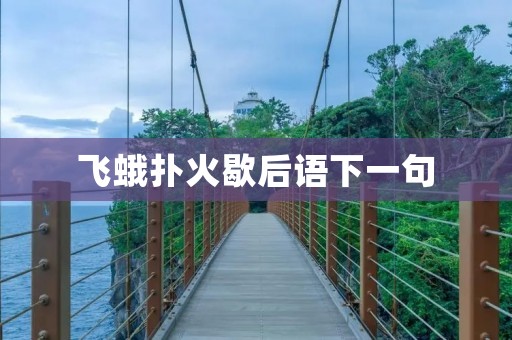 飞蛾扑火歇后语下一句:自找苦吃