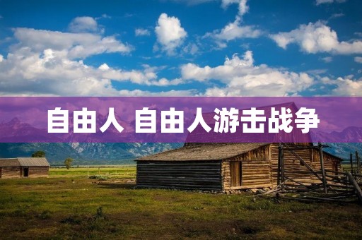 自由人 自由人游击战争
