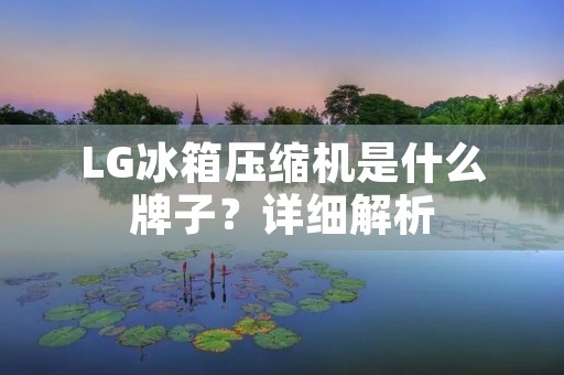 LG冰箱压缩机是什么牌子?详细解析 LG冰箱压缩机是什么牌子?详细解析