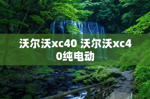 沃尔沃xc40 沃尔沃xc40纯电动