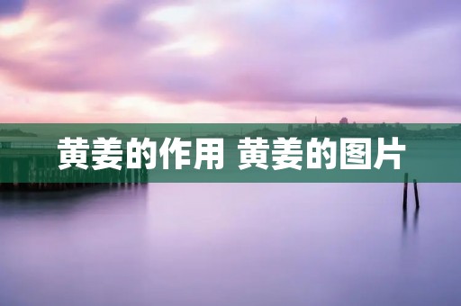 黄姜的作用 黄姜的图片