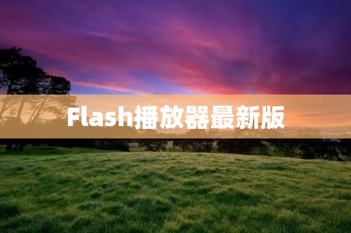 Flash播放器最新版:功能更强大,性能更优越 Flash播放器最新版:功能更强大,性能更优越