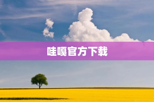 哇嘎官方下载：最全面的视频播放器