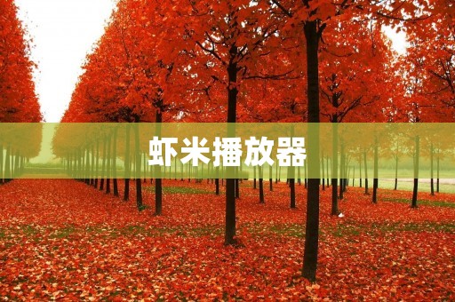 虾米播放器：一款高品质音乐播放器