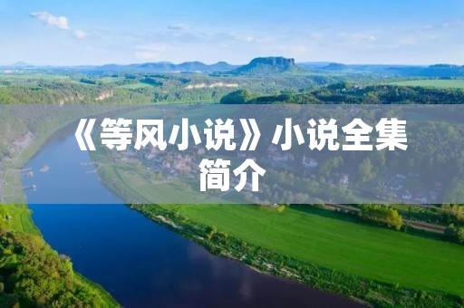 《等风小说》小说全集简介