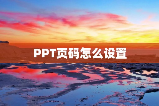 PPT页码怎么设置：详解及操作步骤