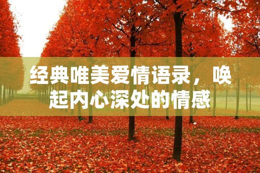 经典唯美爱情语录,唤起内心深处的情感 经典唯美爱情语录,唤起内心深处的情感