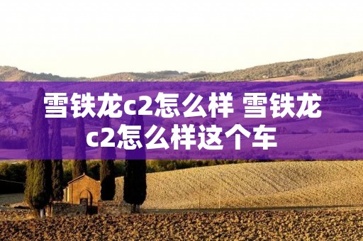 雪铁龙c2怎么样 雪铁龙c2怎么样这个车