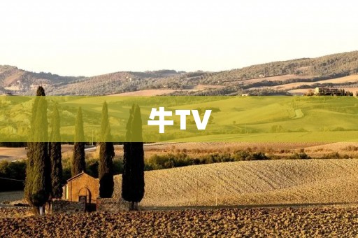 牛TV:打造全新的直播体验 牛TV:打造全新的直播体验