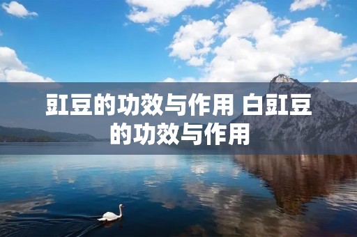 豇豆的功效与作用 白豇豆的功效与作用