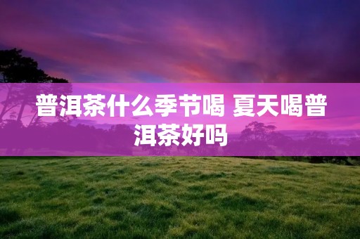 普洱茶什么季节喝 夏天喝普洱茶好吗