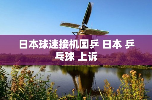 日本球迷接机国乒 日本 乒乓球 上诉