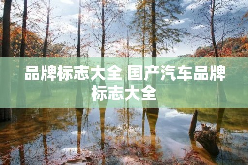 品牌标志大全 国产汽车品牌标志大全 品牌标志大全 国产汽车品牌标志大全