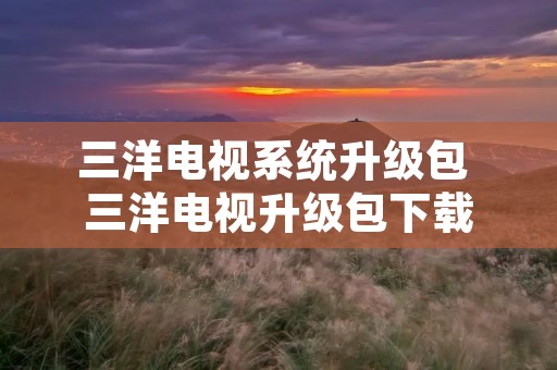 三洋电视系统升级包 三洋电视升级包下载