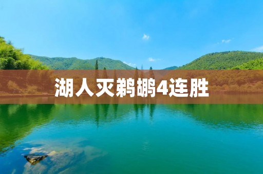 湖人灭鹈鹕4连胜：詹姆斯领衔，湖人展现强大实力