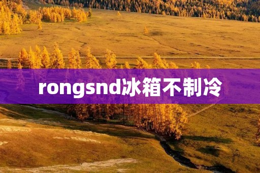 rongsnd冰箱不制冷:如何解决制冷问题 rongsnd冰箱不制冷:如何解决制冷问题