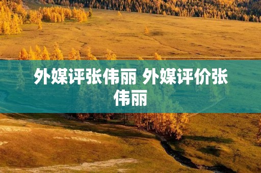外媒评张伟丽 外媒评价张伟丽
