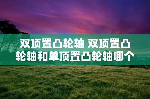 双顶置凸轮轴 双顶置凸轮轴和单顶置凸轮轴哪个好