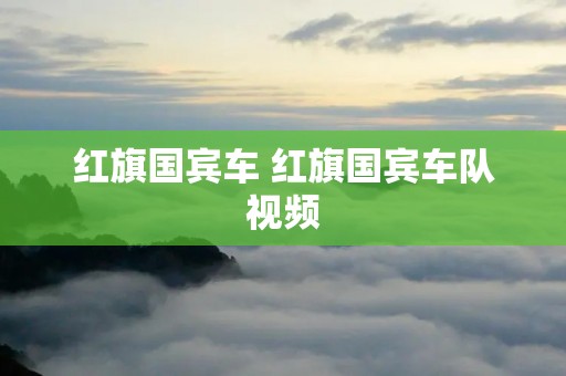 红旗国宾车 红旗国宾车队视频