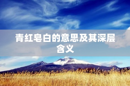 青红皂白的意思及其深层含义