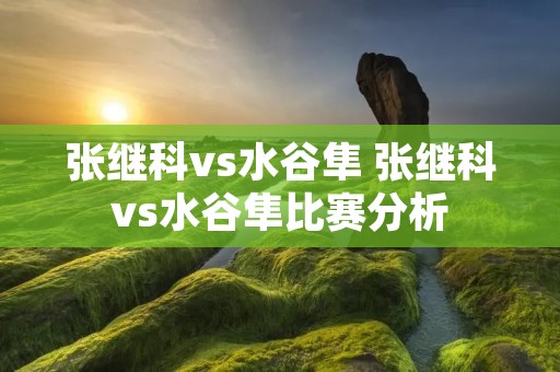张继科vs水谷隼 张继科vs水谷隼比赛分析 张继科vs水谷隼 张继科vs水谷隼比赛分析