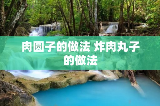 肉圆子的做法 炸肉丸子的做法