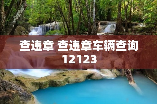 查违章 查违章车辆查询12123