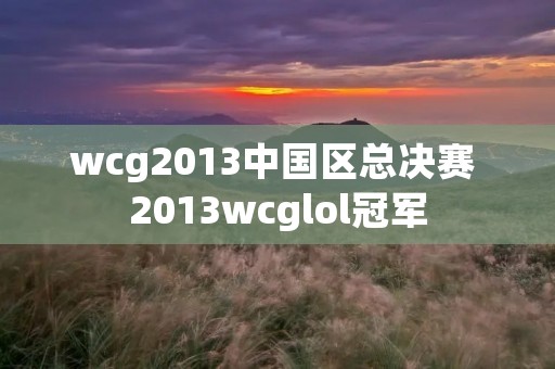 wcg2013中国区总决赛 2013wcglol冠军