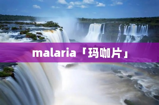 malaria「玛咖片」