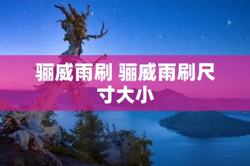 骊威雨刷 骊威雨刷尺寸大小