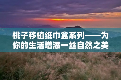 桃子移植纸巾盒系列——为你的生活增添一丝自然之美